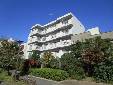 ��ð������ �������漼