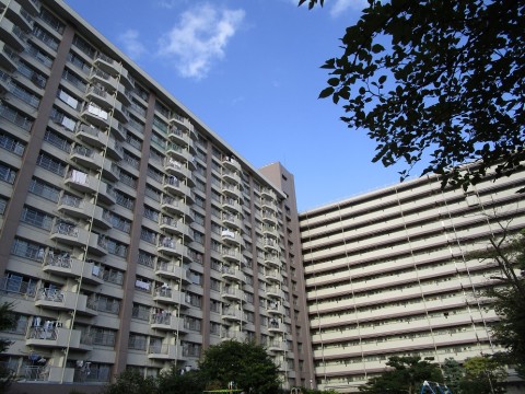 ���ۣ����� �����������漼